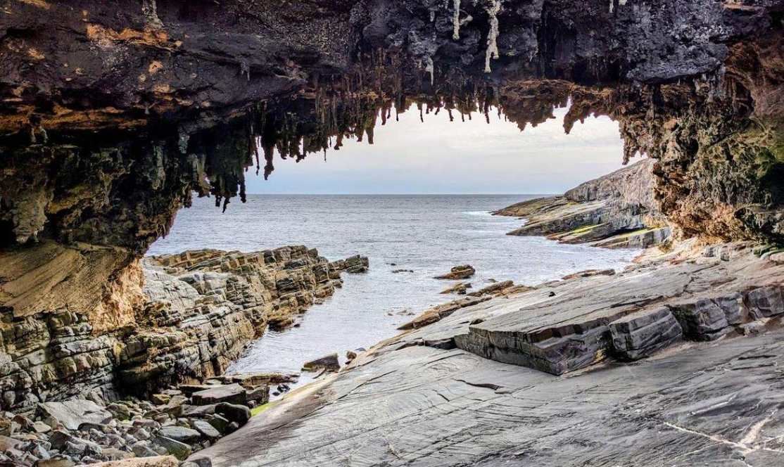 Kangaroo Island Day Tour from Adelaide