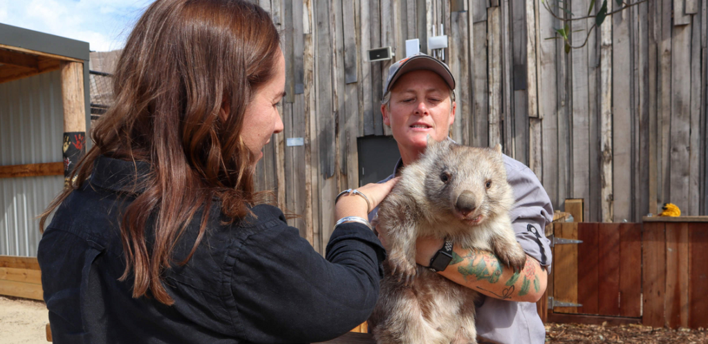 Sydney Zoo