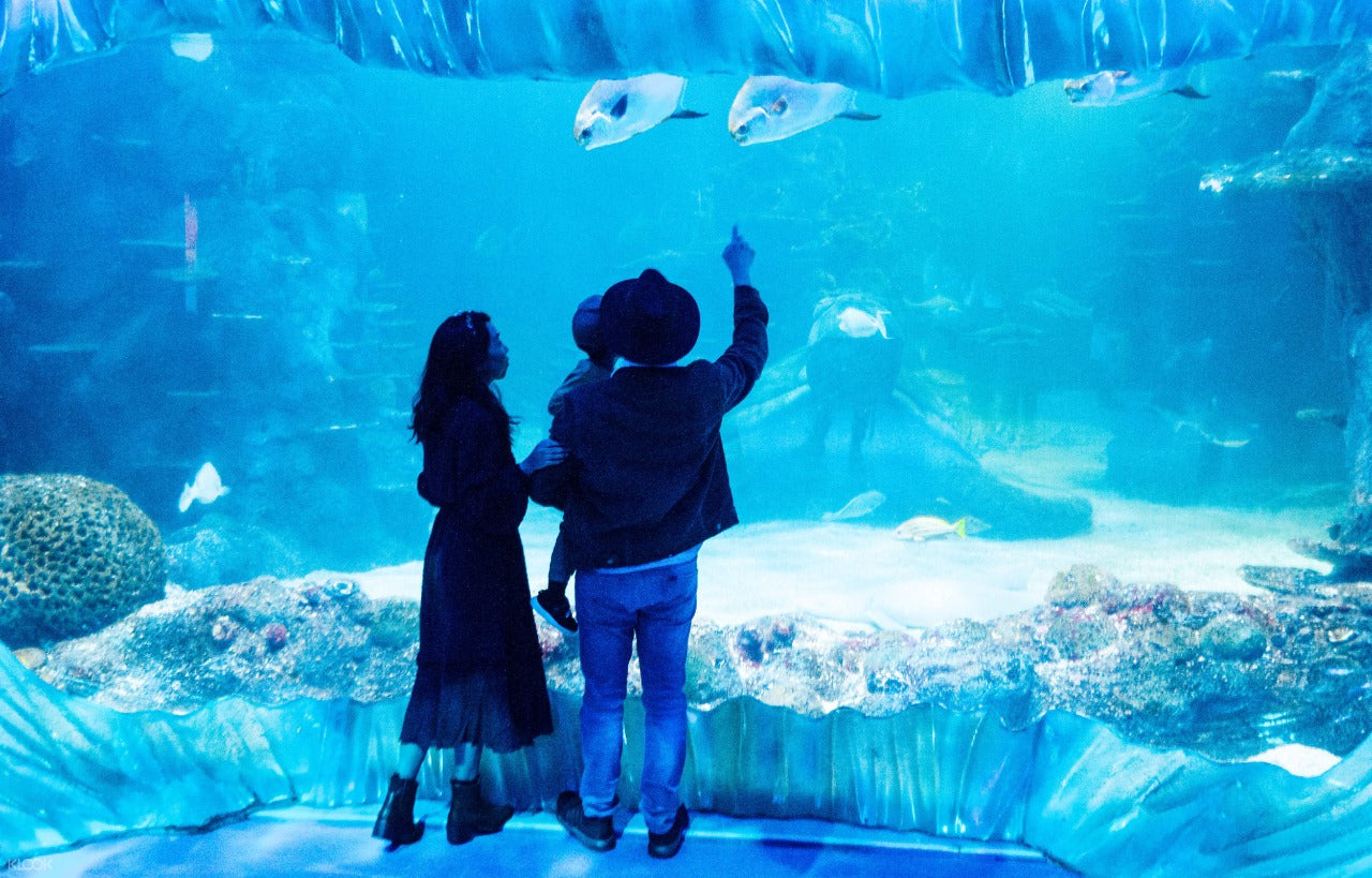 Sydney Aquarium