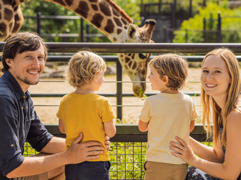 Melbourne Zoo Admission Tickets