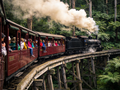 Puffing Billy Half-Day Guided Tour