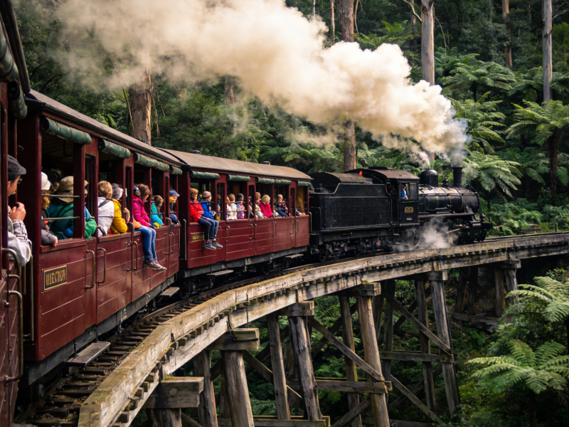 Puffing Billy Half-Day Guided Tour