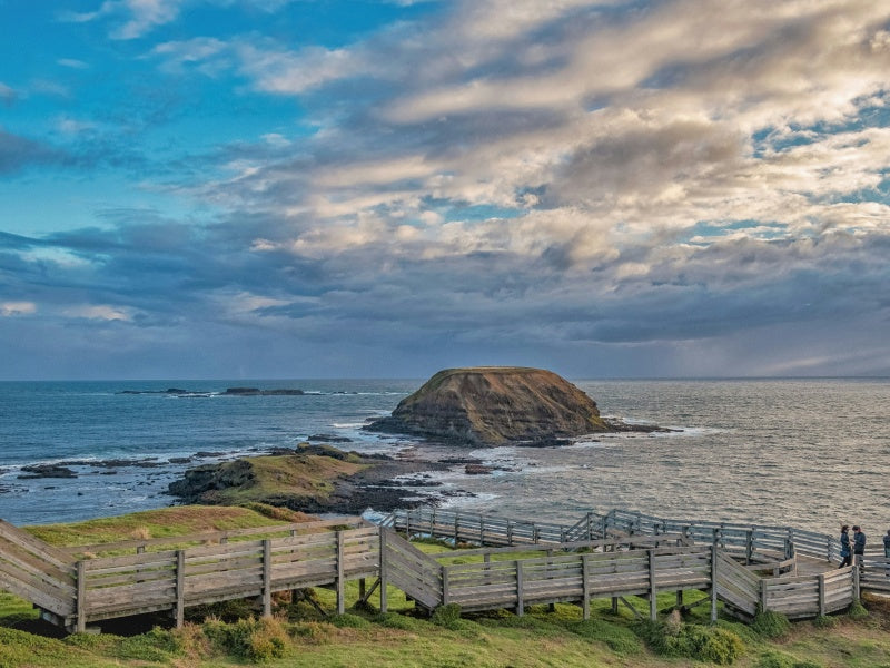 Phillip Island Penguin & Wildlife Adventure Tour