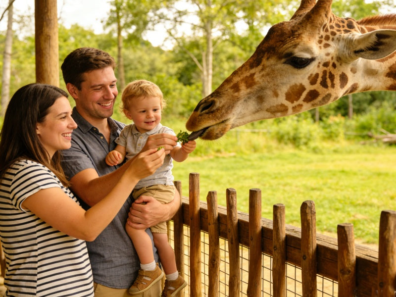 WILD LIFE Sydney Zoo Tickets – Entry & Admission