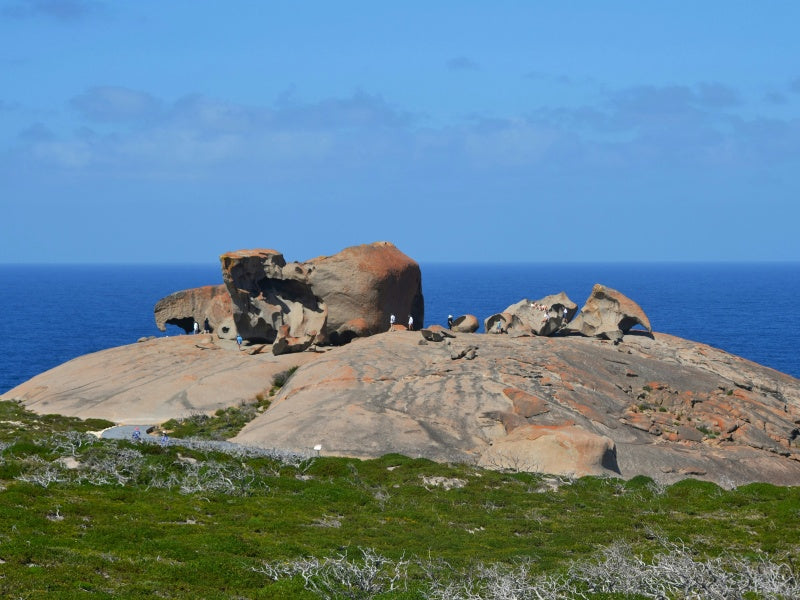 Kangaroo Island Highlights Guided Day Tour