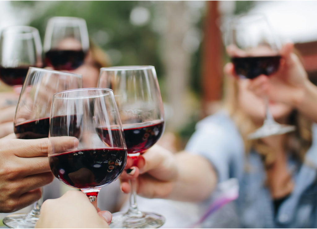 Yarra Valley Winery Day Tour from Melbourne