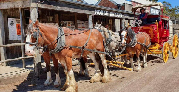 Sovereign Hill Ticket