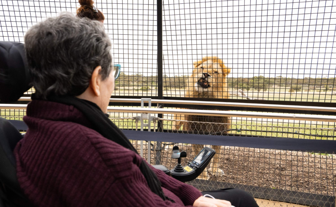 Lions 360 Experience & A Day at Monarto Safari Park