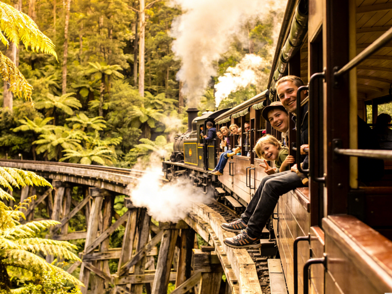 Phillip Island & Puffing Billy Day Tour (from Melbourne)