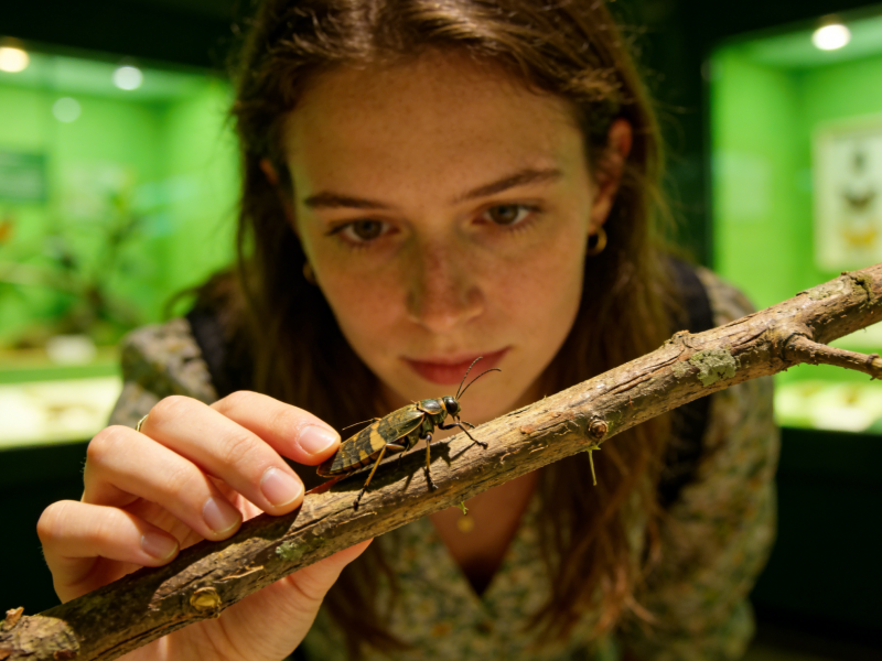 Melbourne Museum Tickets & Exhibitions