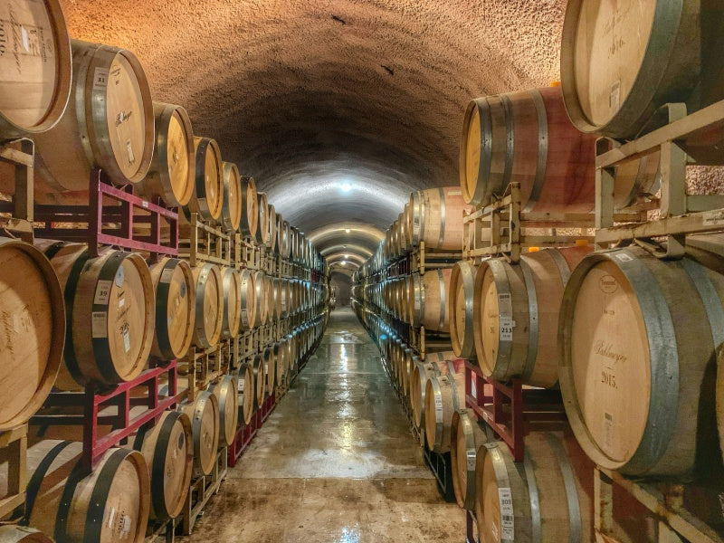 Yarra Valley Winery Day Tour from Melbourne