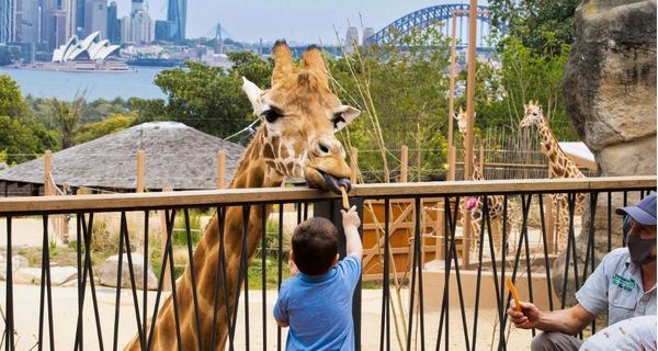 Taronga Zoo