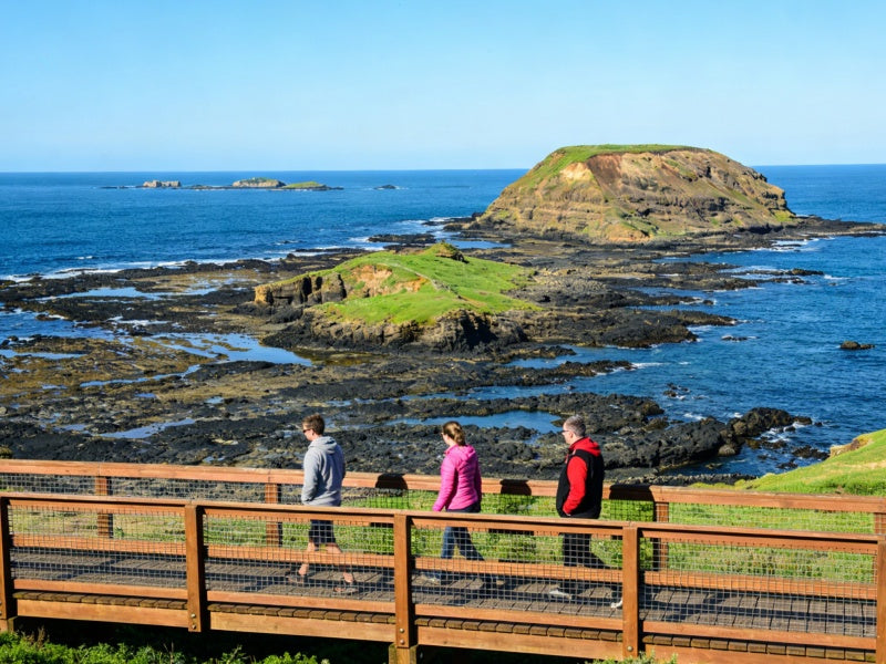 Phillip Island Penguin & Wildlife Adventure Tour