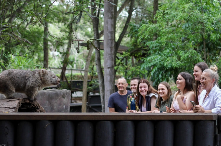 Entrance ticket to the Loongbai Koala Zoo