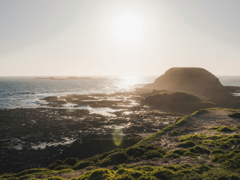 Melbourne Wildlife Day Tour: Healesville Sanctuary & Phillip Island