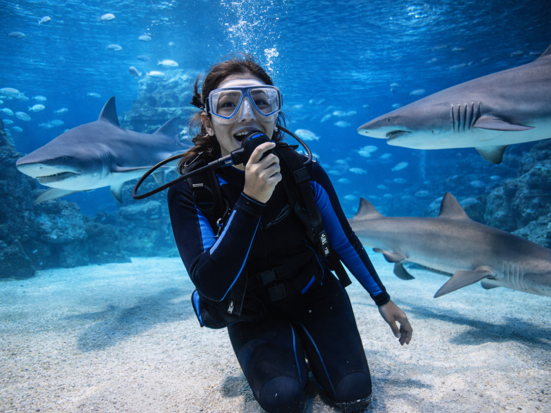 Shark Dive Experience at SEA LIFE Melbourne Aquarium