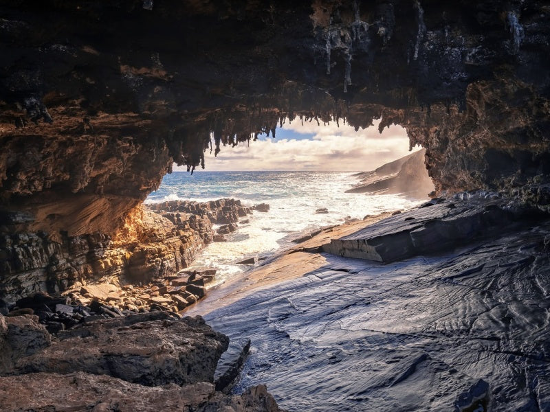 Kangaroo Island Highlights Guided Day Tour