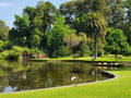 Royal Botanic Gardens Melbourne Aboriginal Heritage Walk Tickets