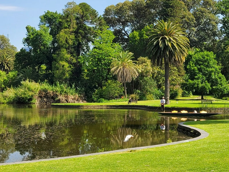Royal Botanic Gardens Melbourne Aboriginal Heritage Walk Tickets
