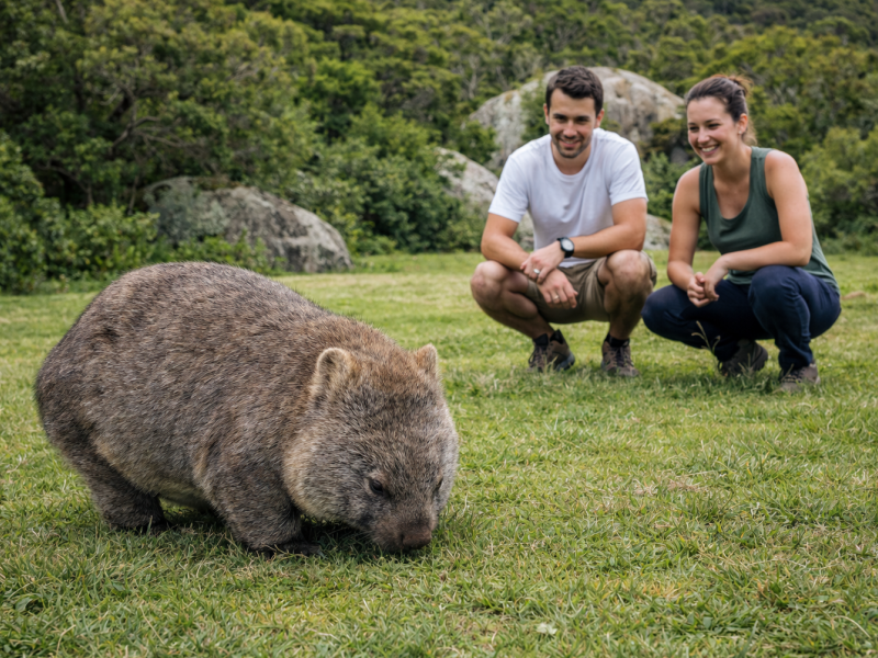 Wilsons Promontory National Park Wilderness Tour