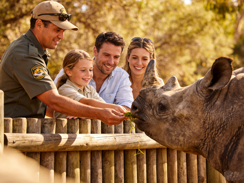 Monarto Safari Park Rhino Encounter Experience