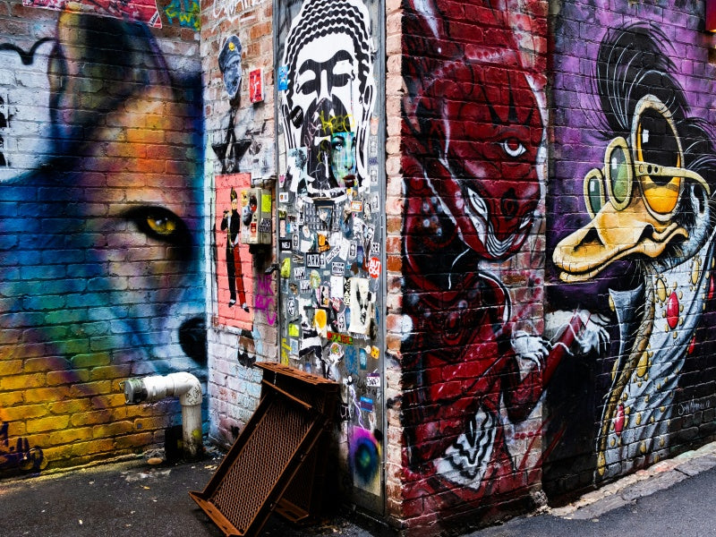 Melbourne City Highlights Half-Day Tour