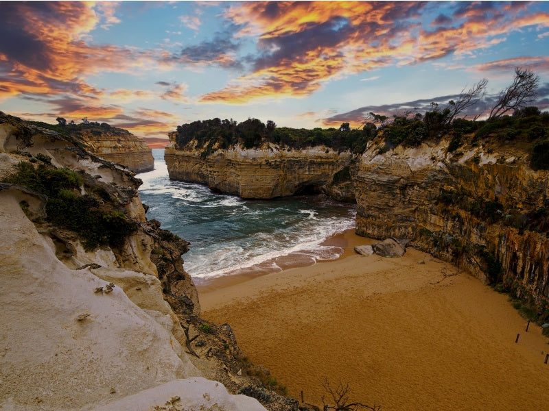 Great Ocean Road Full-Day Nature Tour from Melbourne
