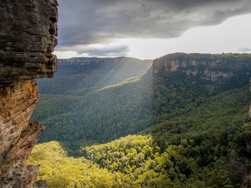 Blue Mountains Day Tour from Sydney