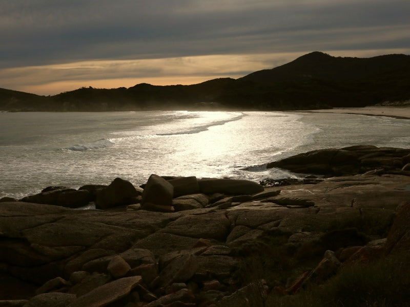 Guided Day Tour of Wilsons Promontory National Park