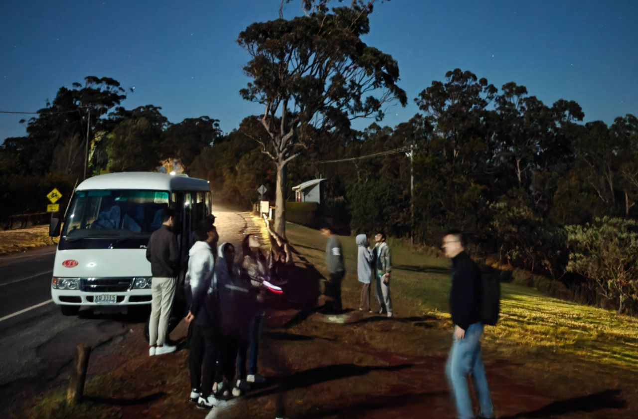 Gold Coast Glow Worm Night Tour with Chinese-Speaking Guide