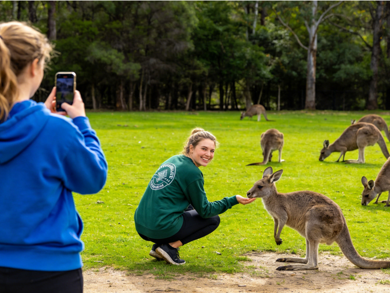 Grampians National Park Day Trip Ultimate Guide & Best Tours