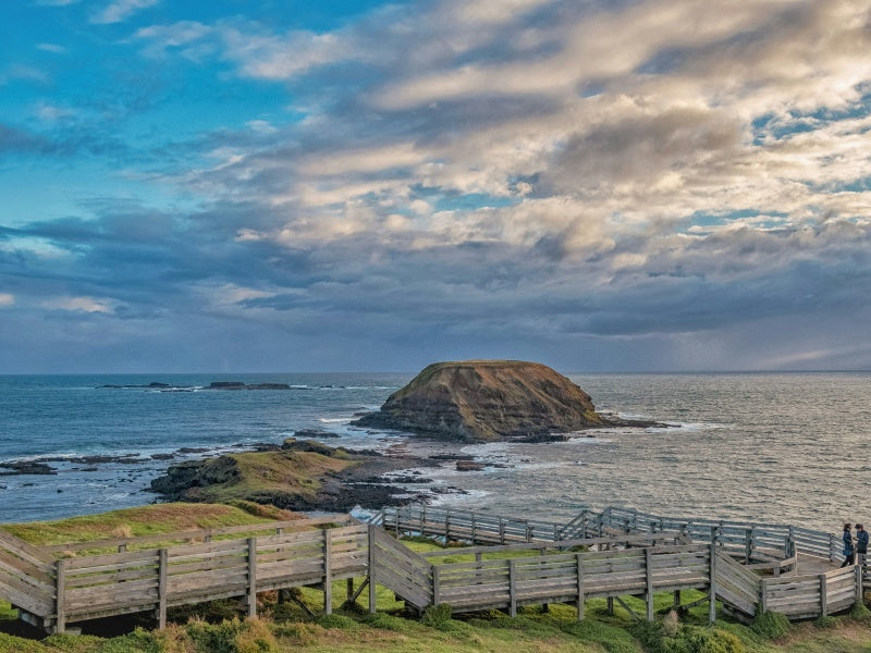 Melbourne to Phillip Island Penguin Parade Day Tour