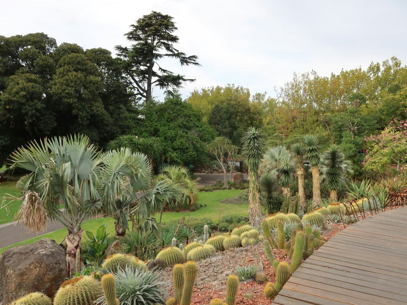 Royal Botanic Gardens Melbourne Aboriginal Heritage Walk Tickets