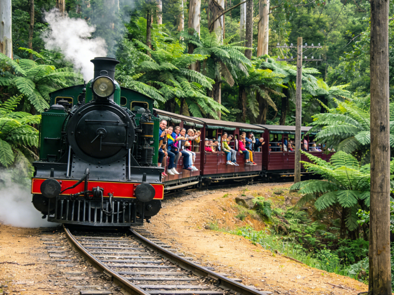 Puffing Billy Half-Day Guided Tour
