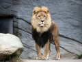 Melbourne Zoo Admission Tickets