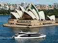 Sydney Whale Watching Cruise with Meal Included