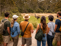 Great Ocean Road Wildlife Wonders Discovery Tour
