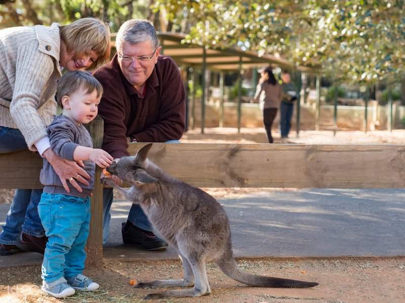 Sydney Featherdale Wildlife Park