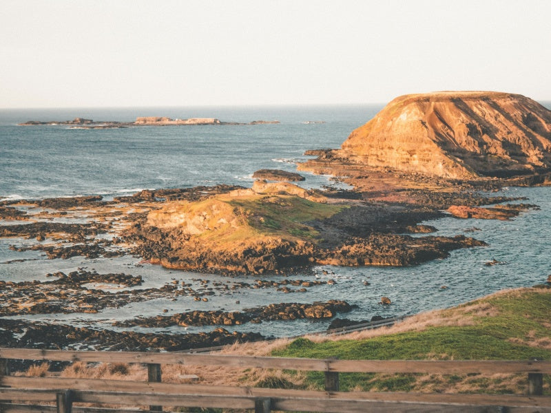 Phillip Island & Puffing Billy Day Tour (from Melbourne)