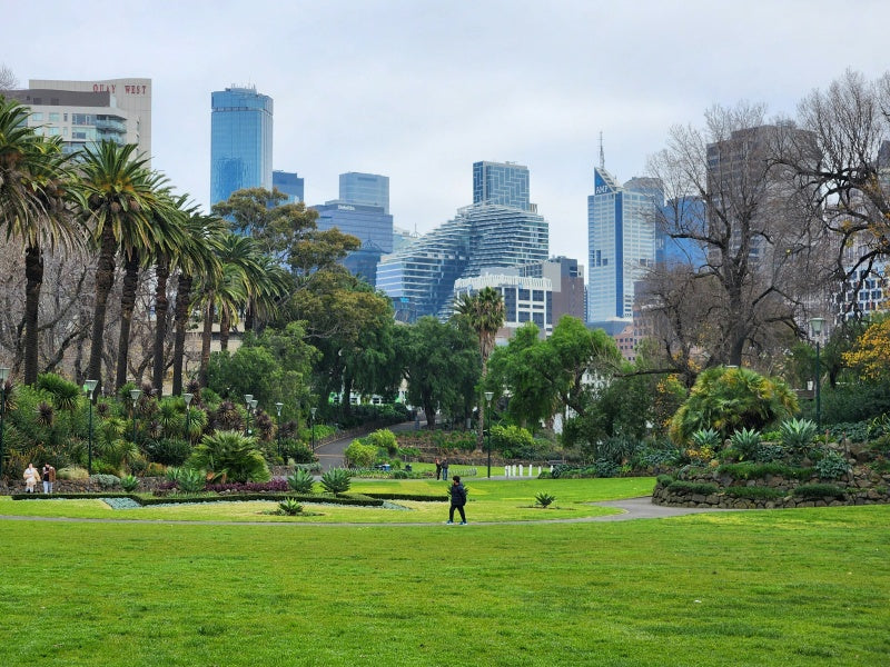 Melbourne City Highlights Half-Day Tour