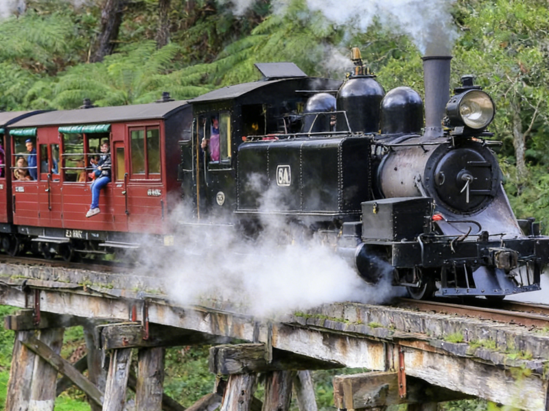 Phillip Island & Puffing Billy Day Tour (from Melbourne)