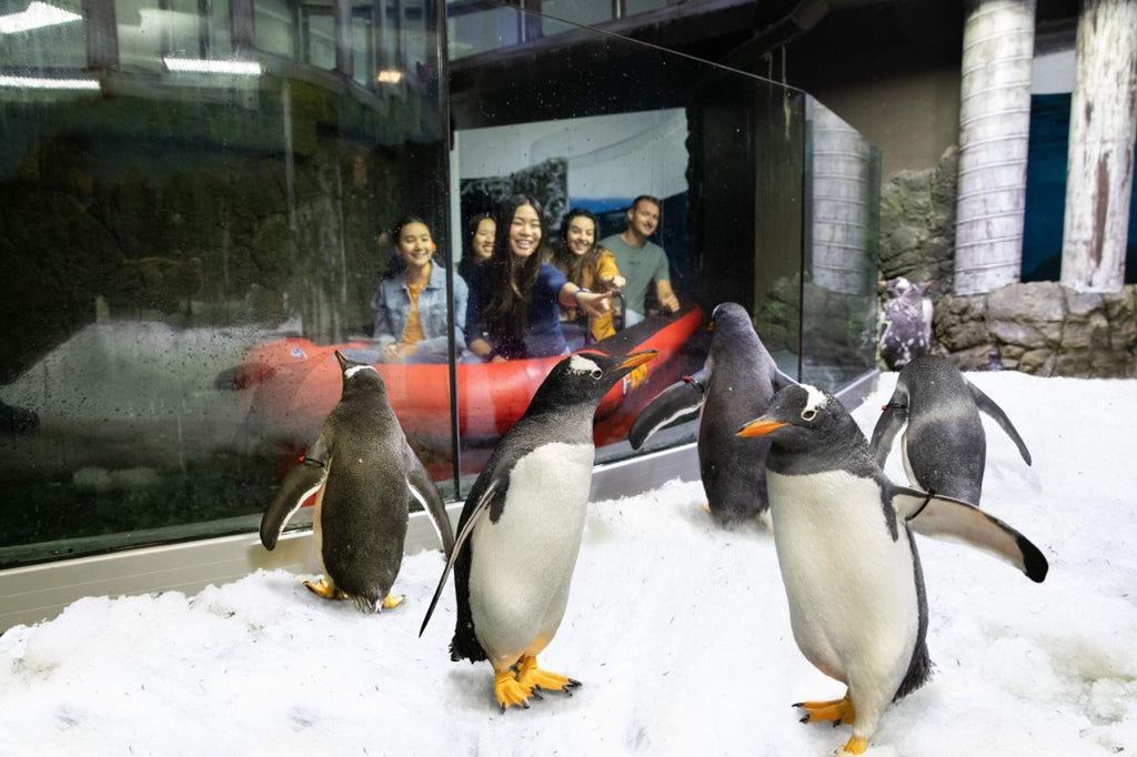 Sydney Aquarium