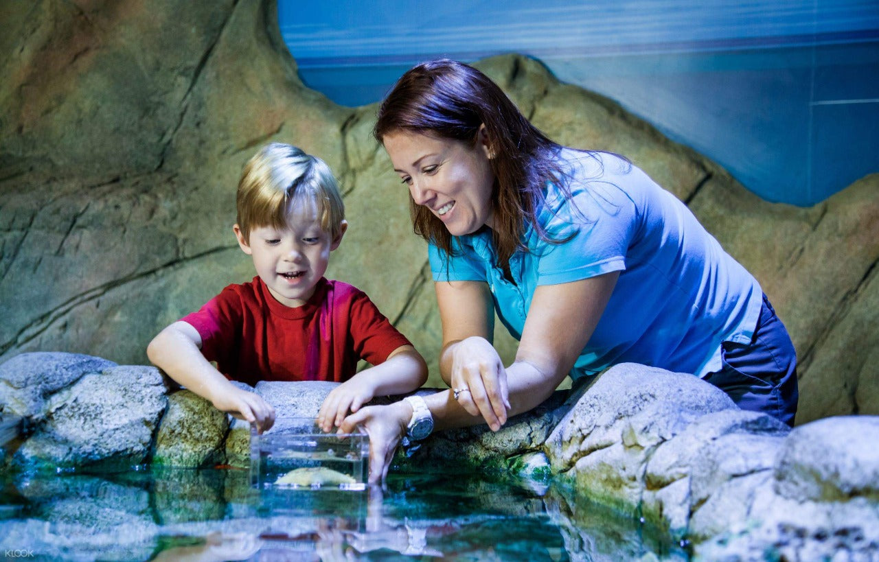 Sydney Aquarium