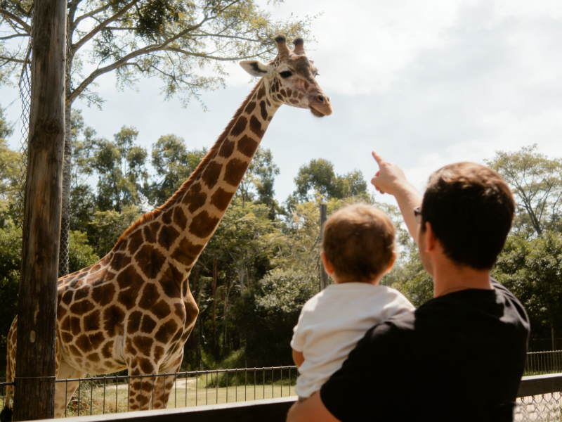 Adelaide Zoo Entry Ticket