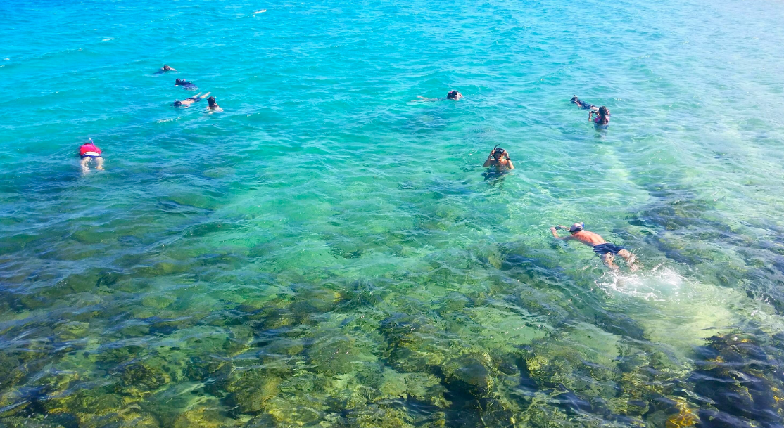 Gold Coast Kayaking & Snorkeling Tour