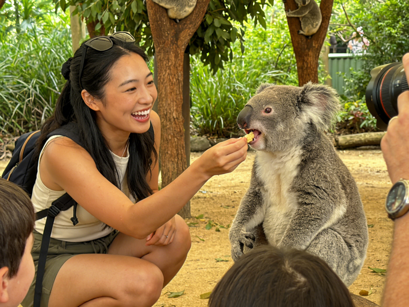 Blue Mountains Day Tour from Sydney