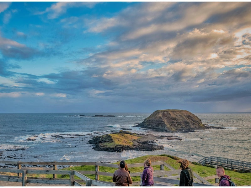 Melbourne Wildlife Day Tour: Healesville Sanctuary & Phillip Island