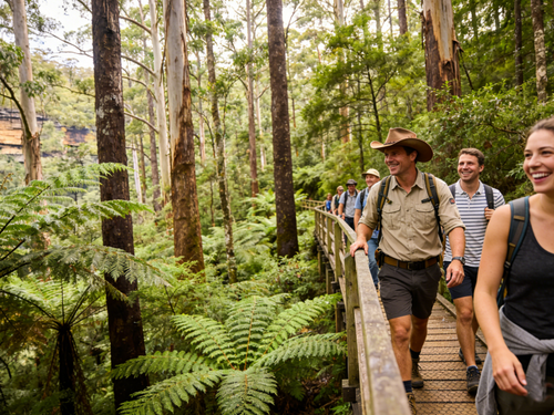 Blue Mountains Day Tour & River Cruise from Sydney