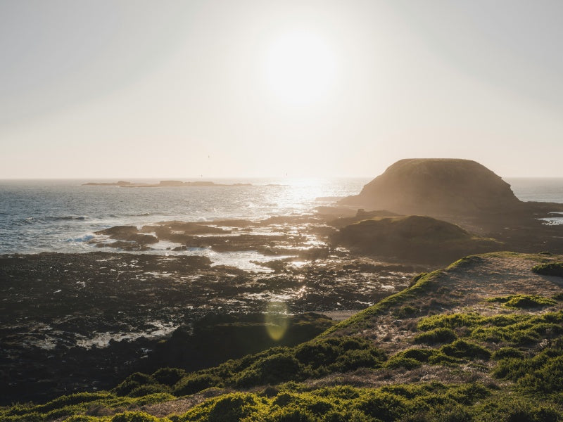 Phillip Island & Puffing Billy Day Tour (from Melbourne)