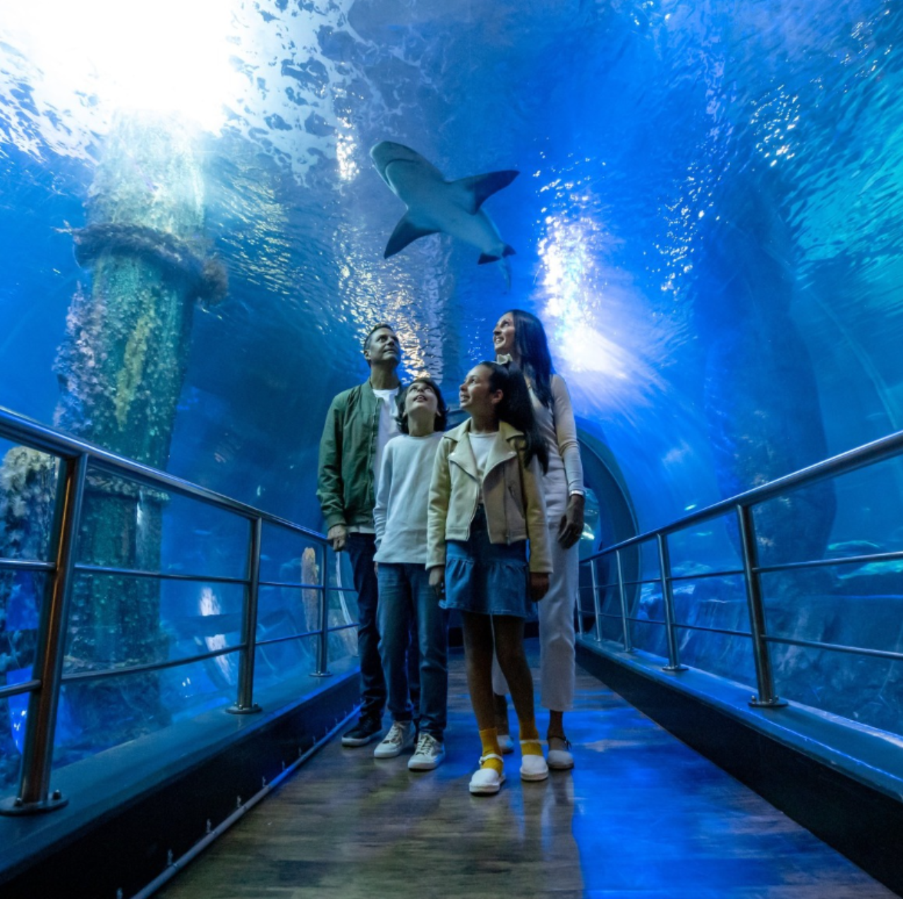 SEA LIFE Melbourne
